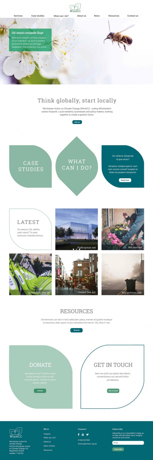 7794win_websitedesign_3_page_web