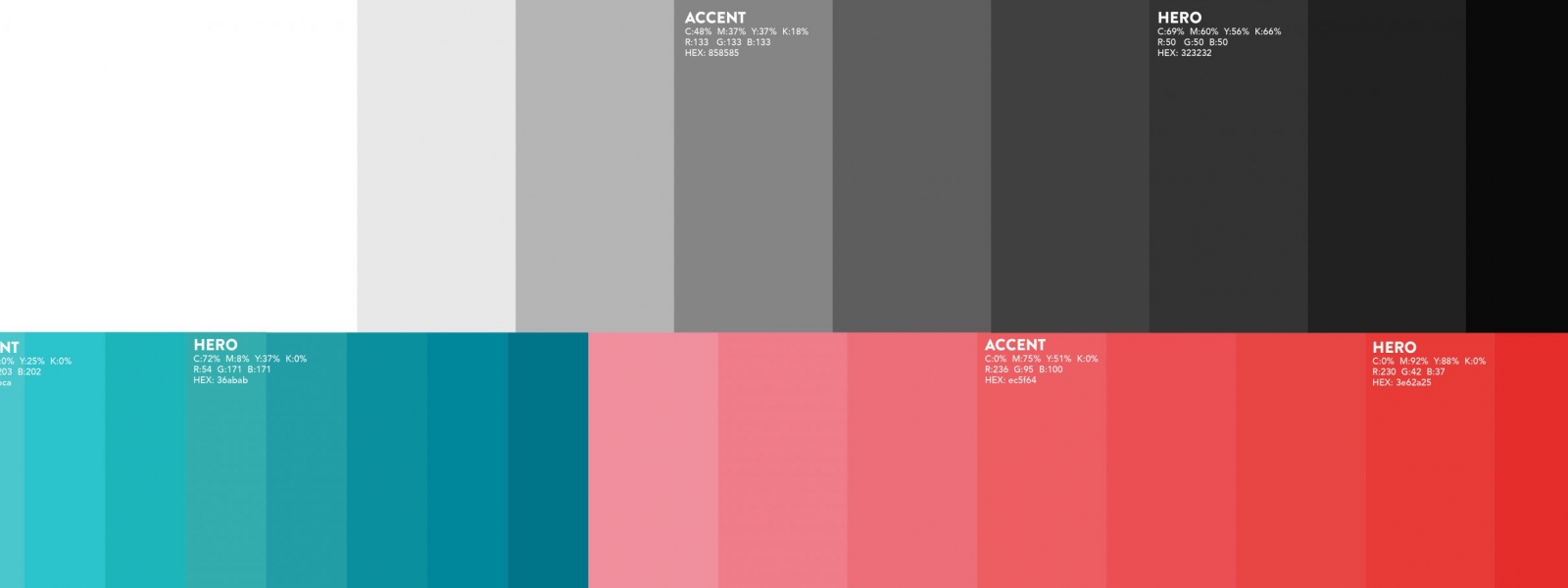 Black Swan Brand Book