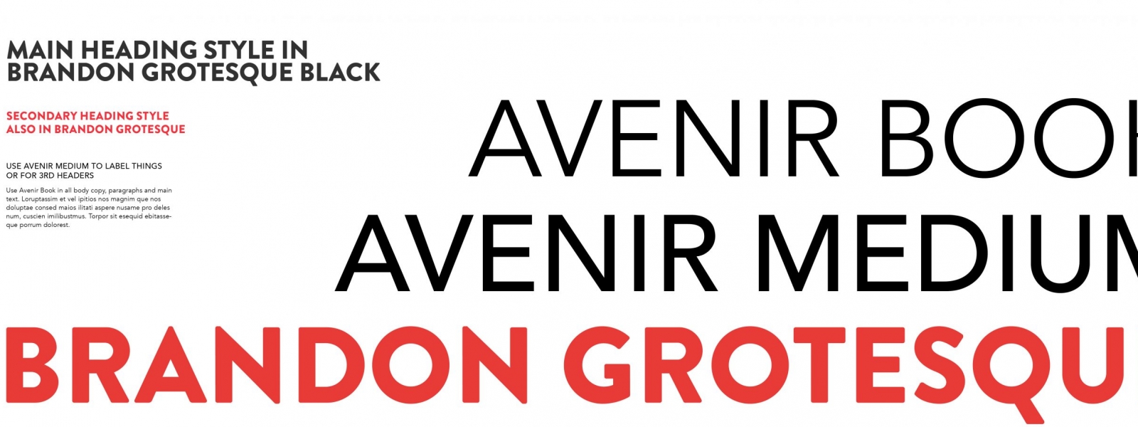 Black Swan Brand Book