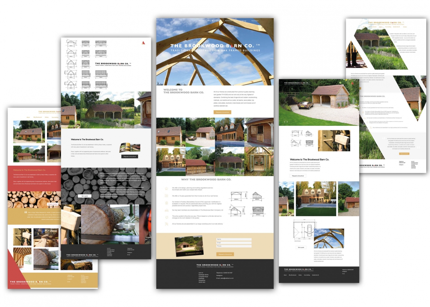 Website design options