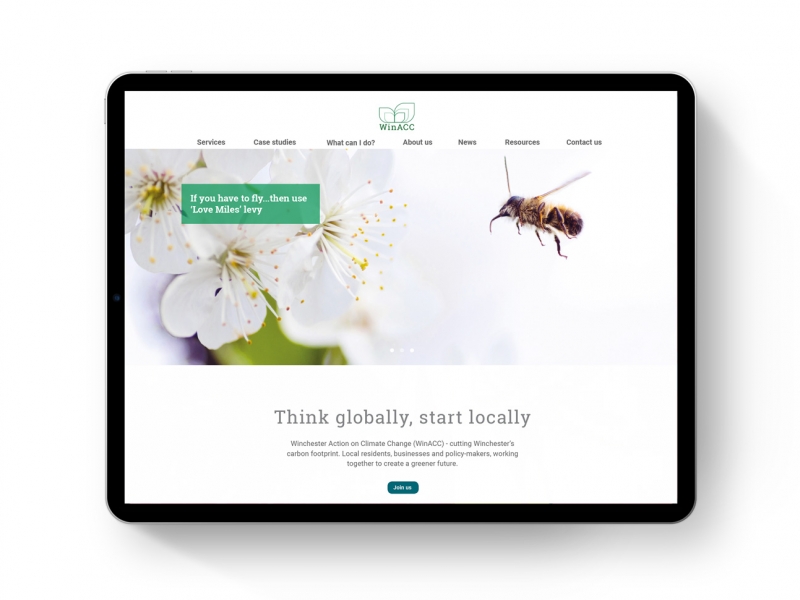 Website Design, Graphic Designer